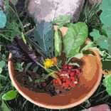 Gardening Podcasts Free