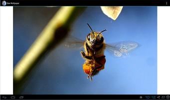Bee Wallpaper capture d'écran 1