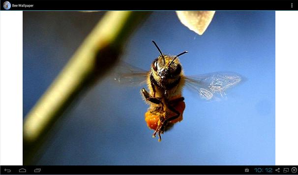 Bee Wallpaper screenshot 1