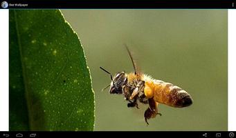 Bee Wallpaper capture d'écran 2
