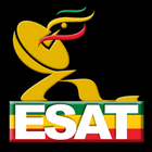 ESAT TV icône