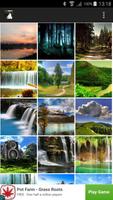 Nature Wallpaper Affiche