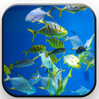 Underwater World Wallpaper icono