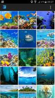 Underwater World Wallpaper پوسٹر