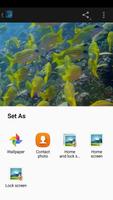 Underwater World Wallpaper ภาพหน้าจอ 2