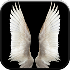 New HD Angel Wallpapers آئیکن