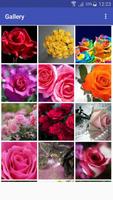 New Beautiful HD Roses Wallpapers 스크린샷 3