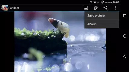 Latest Wallpapers HD APK download