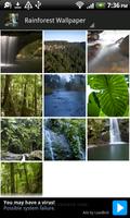 3 Schermata Aussie Rainforest Wallpaper