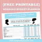 Wedding Planning Budget आइकन