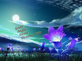 Good Night Wallpapers capture d'écran 1