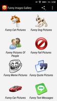 Funny Images Gallery โปสเตอร์