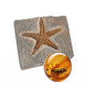Evrimcilerin İtirafları APK