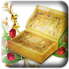 Forgotten provisions Quran icon
