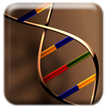 DNA