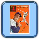 Vintage Baseball Cards APK