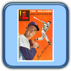 Vintage Baseball Cards icône