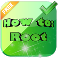 Root