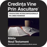 Biblia - Noul Testament Audio ícone