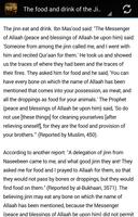 The Concept of Jinn in Islam Screenshot 2