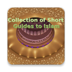 Collection of Guides to Islam