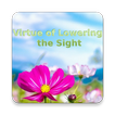 Virtue of Lowering the Sight