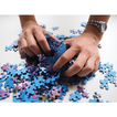 Jigsaw Puzzles for Adults