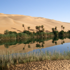 North Africa Wallpaper Travel 图标