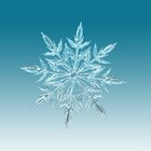 Snow Wallpaper icon