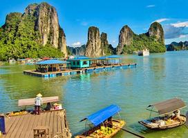 Vietnam Wallpaper Travel स्क्रीनशॉट 1