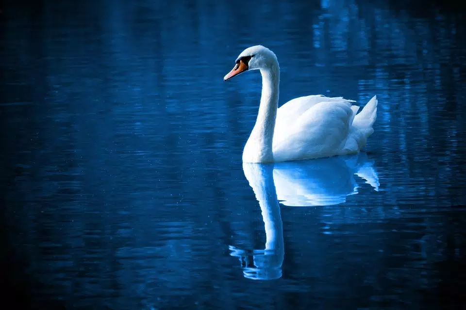 Relaxing Wallpapers HD APK for Android Download Relaxing Wallpapers HD APK for Android Download