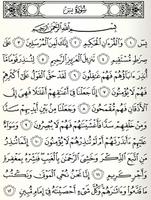 surat yasin imagem de tela 1