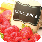 Detox Drinks Recipes icône