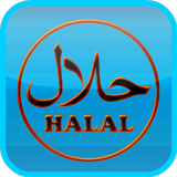 Halal or Haraam E-codes আইকন