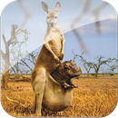 Funny Animal Photos 4U-APK
