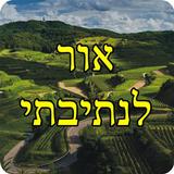אור לנתיבתי - מוסר וחיזוק Zeichen