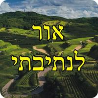 אור לנתיבתי - מוסר וחיזוק Plakat