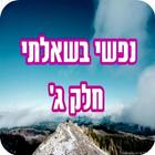 נפשי בשאלתי חלק ג' Zeichen