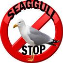 Seagull  STOP AND SCARE AWAY APK