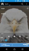Canto del águila gönderen