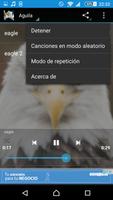 Canto del águila Ekran Görüntüsü 1