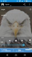 Canto del águila Ekran Görüntüsü 3