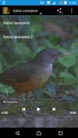Singing Sabia poster