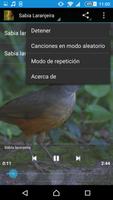 Singing Sabia screenshot 1