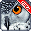 Owl Wallpapers APK