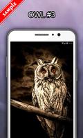 Owl Wallpapers screenshot 3
