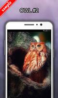 Owl Wallpapers screenshot 2