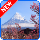 Sakura Tree HD Wallpaper aplikacja