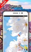 Sakura Tree HD Wallpaper capture d'écran 3