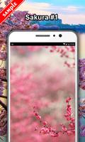 Sakura Tree HD Wallpaper capture d'écran 1
